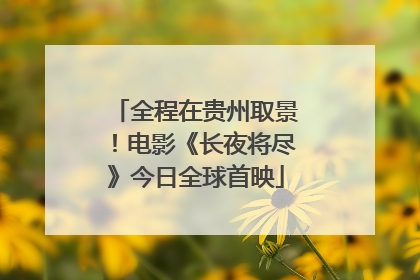 全程在贵州取景！电影《长夜将尽》今日全球首映