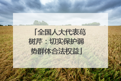 全国人大代表葛树芹：切实保护弱势群体合法权益