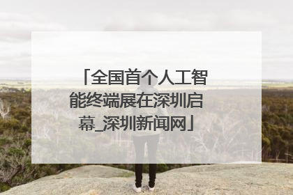 全国首个人工智能终端展在深圳启幕_深圳新闻网