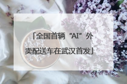全国首辆“AI”外卖配送车在武汉首发
