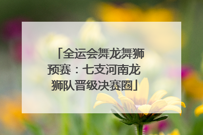 全运会舞龙舞狮预赛：七支河南龙狮队晋级决赛圈