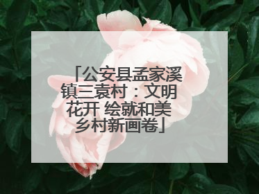 公安县孟家溪镇三袁村：文明花开 绘就和美乡村新画卷