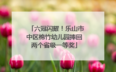 六冠闪耀！乐山市中区棉竹幼儿园捧回两个省级一等奖