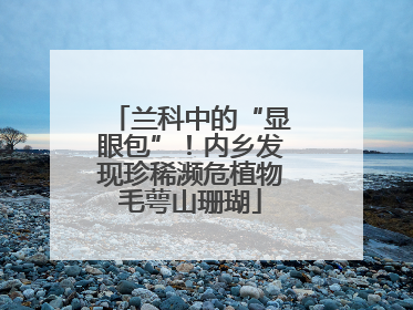 兰科中的“显眼包”！内乡发现珍稀濒危植物毛萼山珊瑚