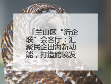 兰山区“沂企联”会客厅：汇聚民企出海新动能，打造跨境发展“强磁场”