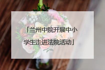 兰州中院开展中小学生走进法院活动