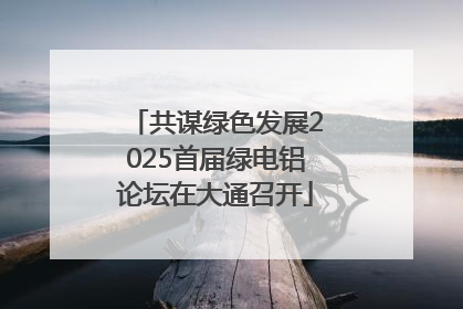 共谋绿色发展2025首届绿电铝论坛在大通召开