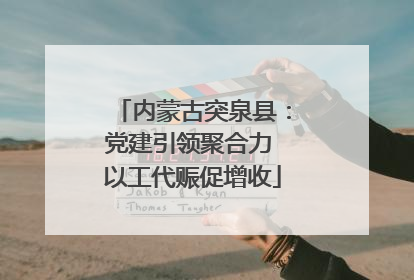 内蒙古突泉县：党建引领聚合力 以工代赈促增收