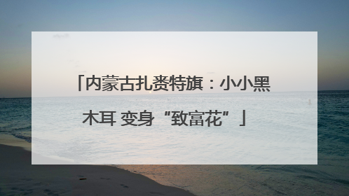 内蒙古扎赉特旗：小小黑木耳 变身“致富花”