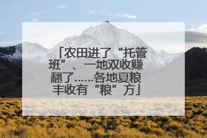 农田进了“托管班”、一地双收赚翻了……各地夏粮丰收有“粮”方