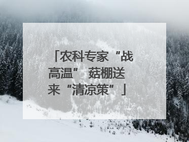 农科专家“战高温” 菇棚送来“清凉策”