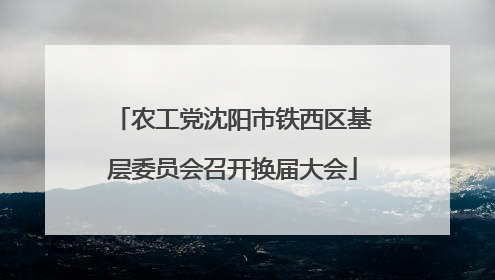 农工党沈阳市铁西区基层委员会召开换届大会