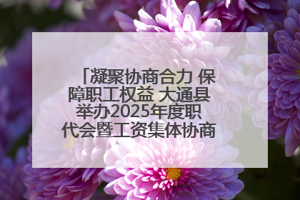 凝聚协商合力 保障职工权益 大通县举办2025年度职代会暨工资集体协商现场观摩交流活动