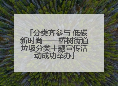 分类齐参与 低碳新时尚——椿树街道垃圾分类主题宣传活动成功举办
