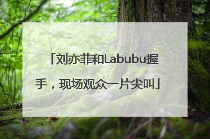 刘亦菲和Labubu握手，现场观众一片尖叫