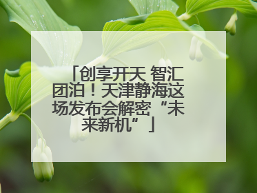 创享开天 智汇团泊！天津静海这场发布会解密“未来新机”