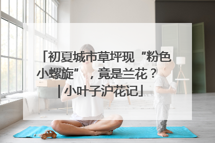 初夏城市草坪现“粉色小螺旋”，竟是兰花？ | 小叶子沪花记