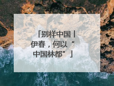 别样中国丨伊春，何以“中国林都”