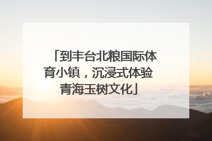 到丰台北粮国际体育小镇，沉浸式体验青海玉树文化