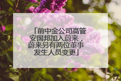 前中金公司高管安国邦加入蔚来，蔚来另有两位董事发生人员变更