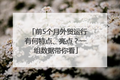 前5个月外贸运行有何特点、亮点？一组数据带你看