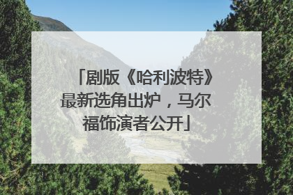 剧版《哈利波特》最新选角出炉，马尔福饰演者公开