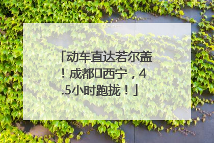 动车直达若尔盖！成都⇄西宁，4.5小时跑拢！