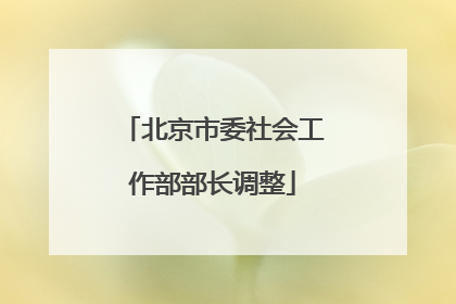 北京市委社会工作部部长调整