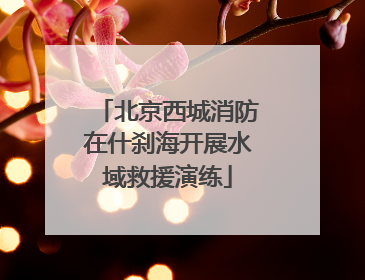 北京西城消防在什刹海开展水域救援演练