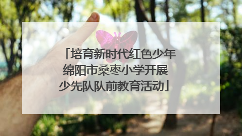 培育新时代红色少年 绵阳市桑枣小学开展少先队队前教育活动