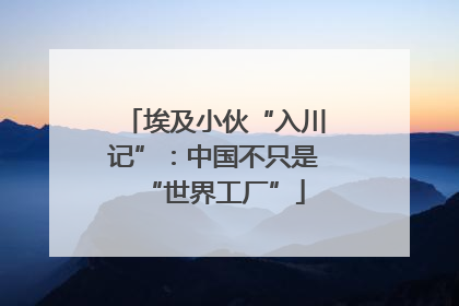 埃及小伙“入川记”：中国不只是“世界工厂”