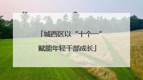 城西区以“十个一”赋能年轻干部成长