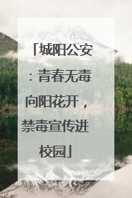 城阳公安：青春无毒向阳花开，禁毒宣传进校园