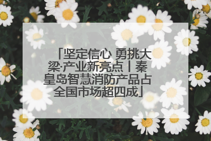 坚定信心 勇挑大梁·产业新亮点丨秦皇岛智慧消防产品占全国市场超四成
