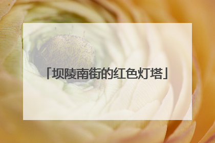 坝陵南街的红色灯塔
