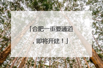 合肥一重要通道，即将开建！