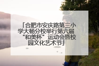 合肥市安庆路第三小学大杨分校举行第六届“和美杯”运动会暨校园文化艺术节