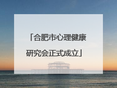 合肥市心理健康研究会正式成立