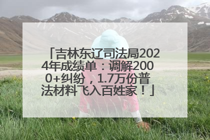 吉林东辽司法局2024年成绩单：调解2000+纠纷，1.7万份普法材料飞入百姓家！