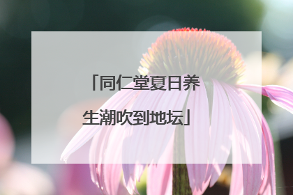 同仁堂夏日养生潮吹到地坛