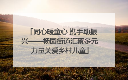 同心暖童心 携手助振兴——杨园街道汇聚多元力量关爱乡村儿童
