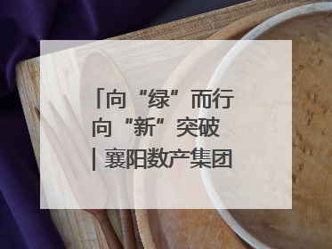 向“绿”而行 向“新”突破｜襄阳数产集团赋能低碳未来