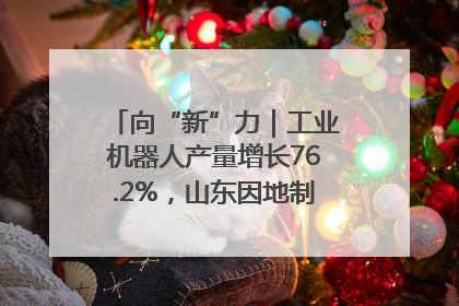 向“新”力｜工业机器人产量增长76.2%，山东因地制宜发展新质生产力