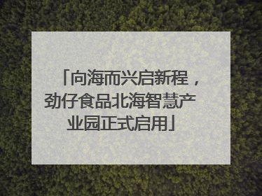 向海而兴启新程，劲仔食品北海智慧产业园正式启用
