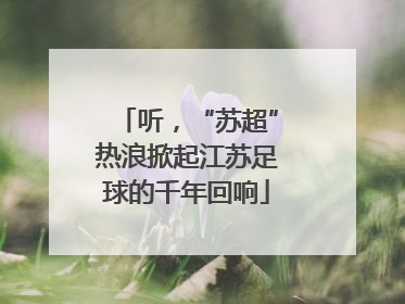 听，“苏超”热浪掀起江苏足球的千年回响