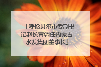 呼伦贝尔市委副书记赵长青调任内蒙古水发集团董事长