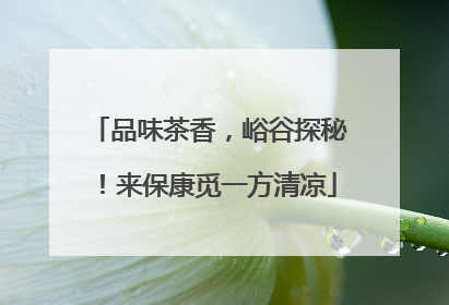 品味茶香，峪谷探秘！来保康觅一方清凉