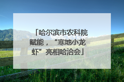哈尔滨市农科院赋能，“寒地小龙虾”亮相哈洽会