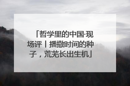 哲学里的中国·现场评丨播撒时间的种子，荒芜长出生机