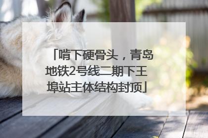 啃下硬骨头，青岛地铁2号线二期下王埠站主体结构封顶